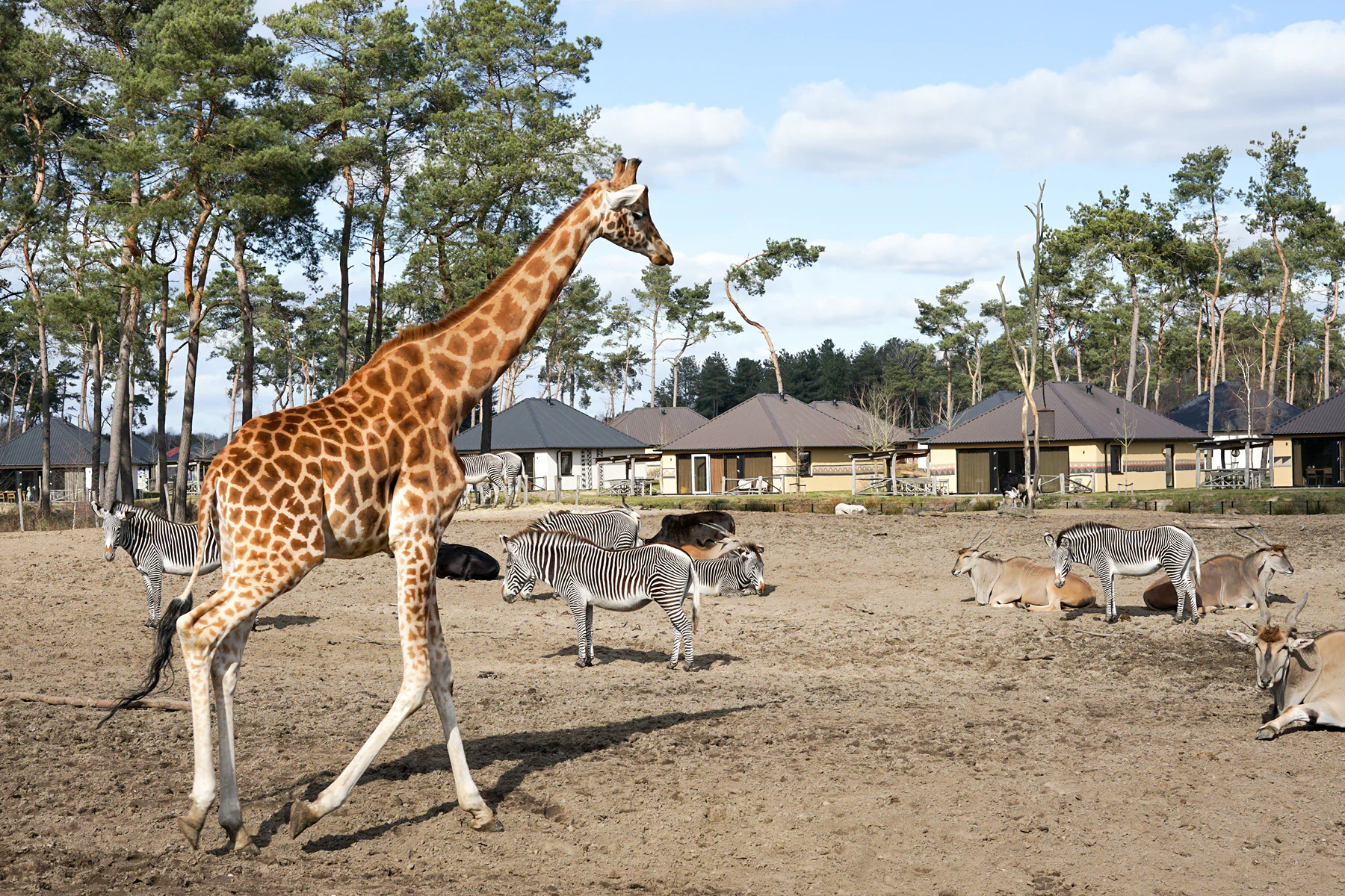 The Nashville Zoo
